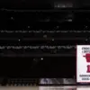 Derrick Rose is the one to bloom to Chicago's rafters