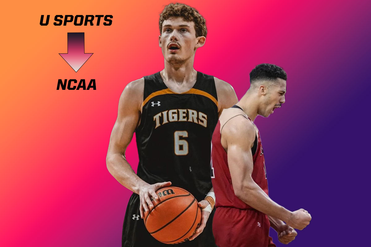 Former dalhousie tigers guard malcolm christie and laval rouge et or forward ismael diouf transfer from usports basketball to ncaa basketball